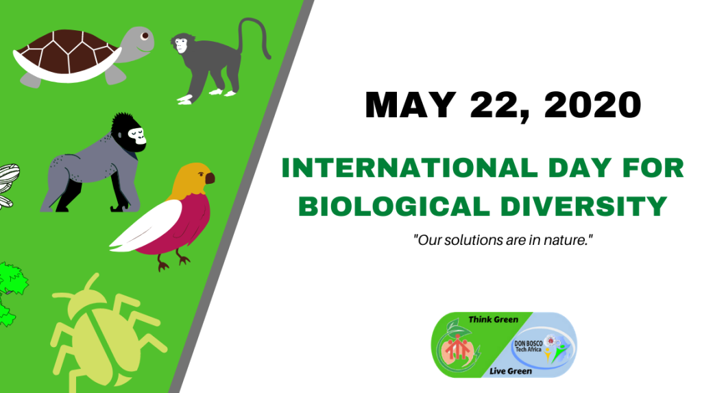 International Day for Biological Diversity 2020